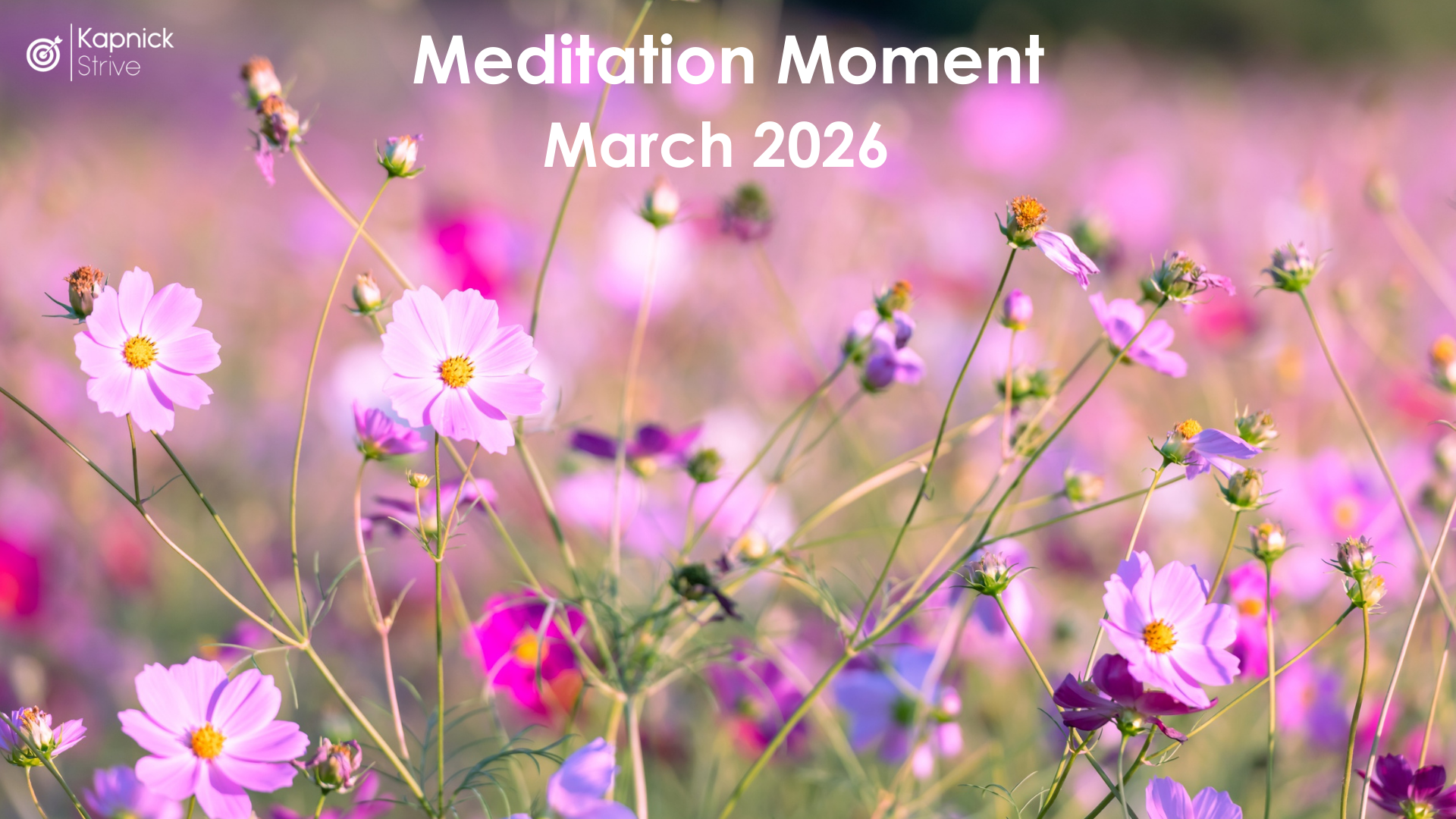 Meditation Moment - March 2026