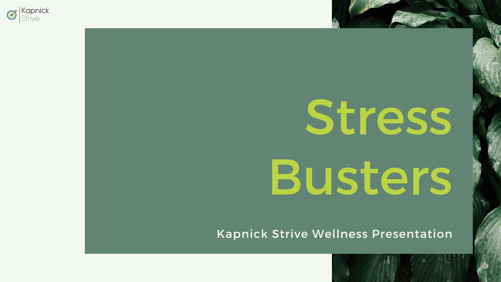 OCC - Stress Busters Wellness Presentation