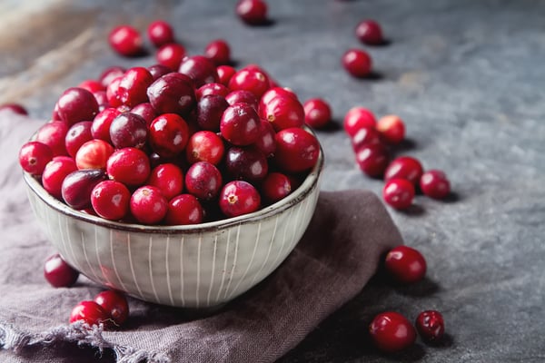 cranberries - iStock-688488554