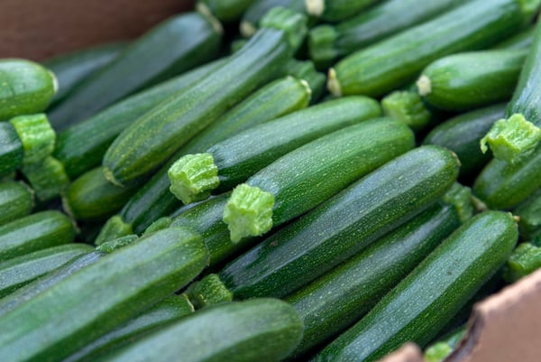 Zucchini - iStock-157643620